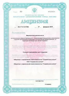 Лицензия МД-1
